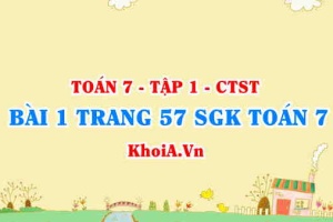 Bài 1 trang 57 SGK Toán 7 chân trời sáng tạo tập 1